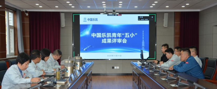 激揚青春智造力！中國樂凱團委召開青年&ldquo;五小&rdquo;成果評審會